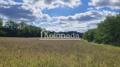 Kosmajski trg | 4zida.rs