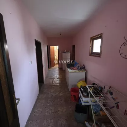 Svetozar Miletić | 4zida.rs