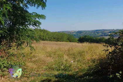 Sedmog Jula | 4zida.rs