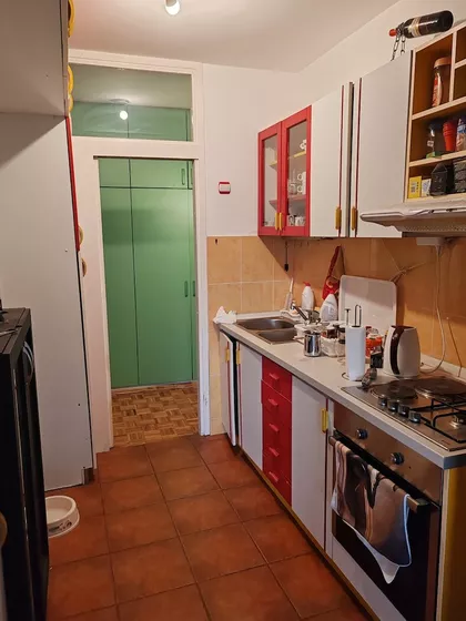 Dr Ivana Ribara | 4zida.rs