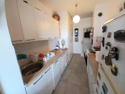 Ljuba Vučkovića | 4zida.rs