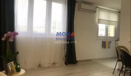 Pere Segedinca | 4zida.rs