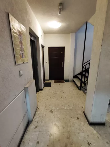 Davida Pajića | 4zida.rs