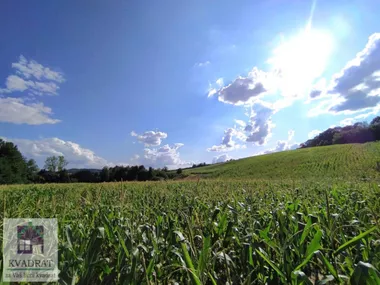 Kršna Glava