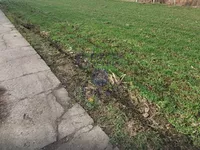 Rumenka, Okolne lokacije, Novi Sad | 4zida.rs