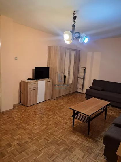 Dr Ivana Ribara | 4zida.rs