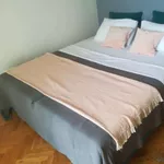 Adamovićevo Naselje, Gradske lokacije, Novi Sad | 4zida.rs | 4zida.rs