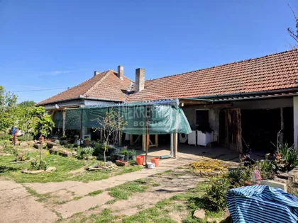 Pačir | 4zida.rs