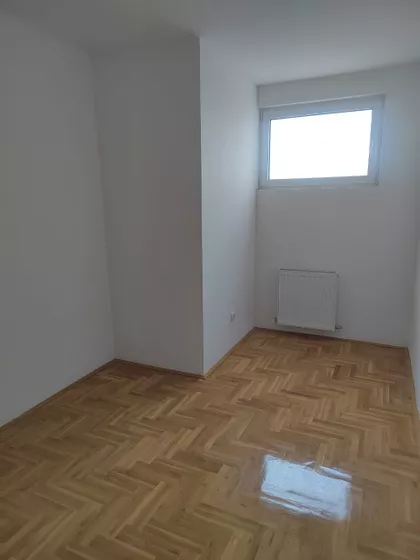 Lava Tolstoja | 4zida.rs