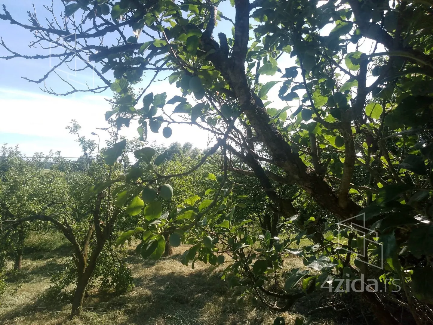 Poljoprivredno zemljište | 4zida