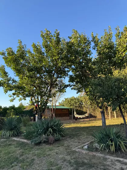 Novi Banovci | 4zida.rs