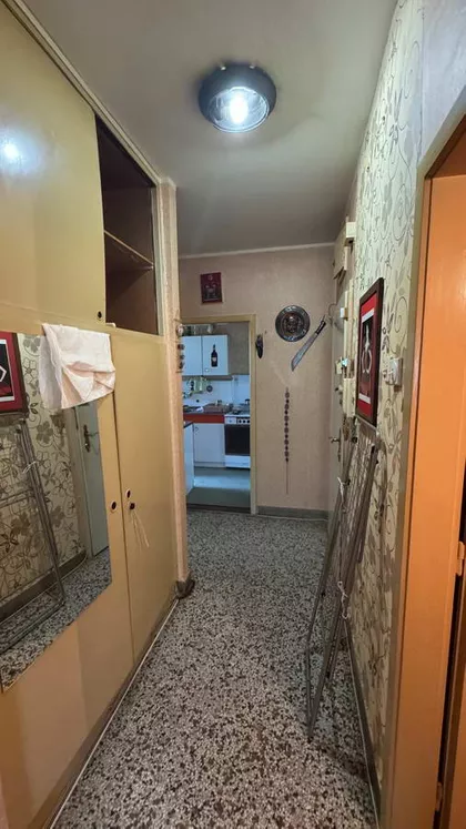 Ruža Šulman | 4zida.rs