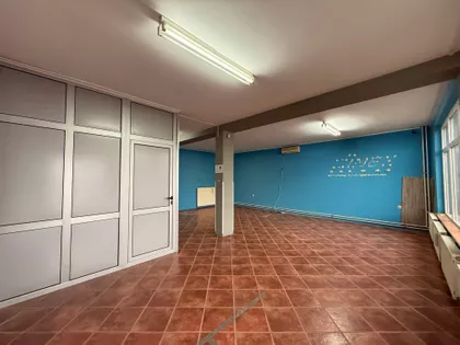 Ive Lole Ribara 65 | 4zida.rs