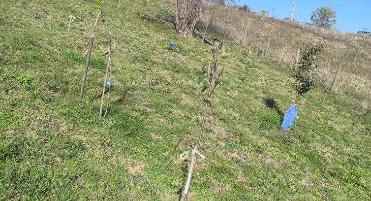 Poljoprivredno zemljište | 4zida