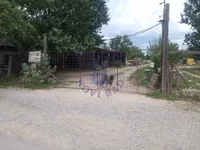 Avijatičarsko Naselje, Gradske lokacije, Novi Sad | 4zida.rs