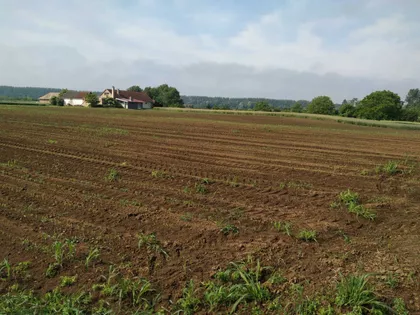 Gradske lokacije | 4zida.rs