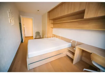 Mlatišumina | 4zida.rs