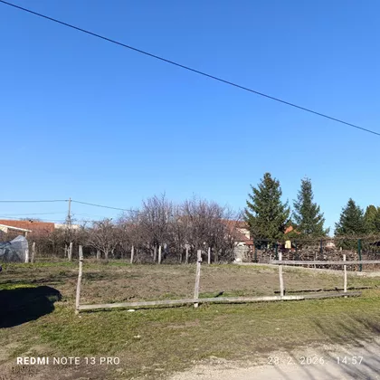 Ljubice Hadži Pavlović | 4zida.rs