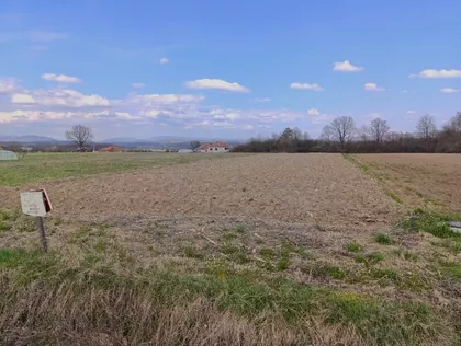 Ravnogajska | 4zida.rs