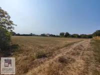 Plac | 4zida