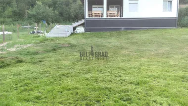 Bogoljuba Petkovića