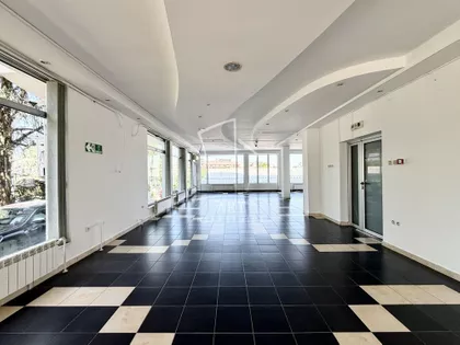 Pilota Mihaila Petrovića | 4zida.rs