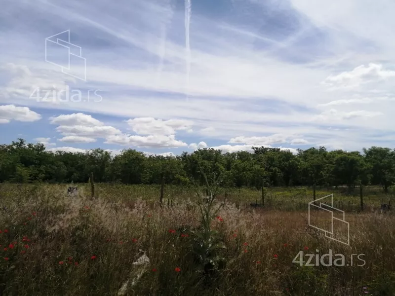 Plac | 4zida