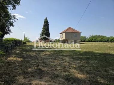 Dučina