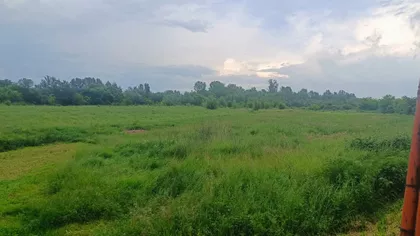 Beloševačka | 4zida.rs