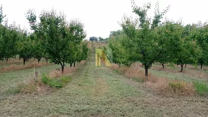 Gradske lokacije | 4zida.rs