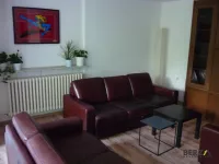 Novi Sad, Gradske lokacije, Liman, Liman 4 | 4zida.rs | 4zida.rs