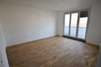 Novi Sad, Gradske lokacije, Adice | 4zida.rs | 4zida.rs