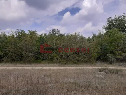 Kelebija | 4zida.rs