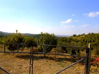 Bocke, Sremska Kamenica, Gradske lokacije, Novi Sad | 4zida.rs