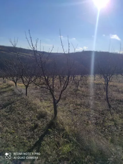 Malo Krčmare | 4zida.rs