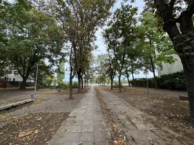 Tadeuša Košćuška