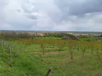 Gradske lokacije, Beočin | 4zida.rs