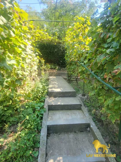 MAJORA TEPIĆA | 4zida.rs