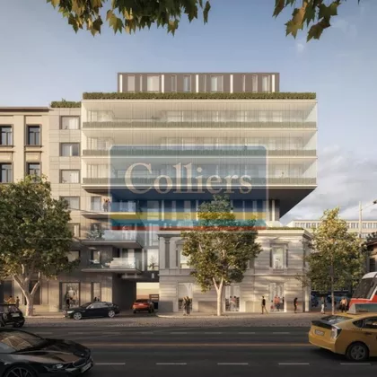 Cara Dušana | 4zida.rs