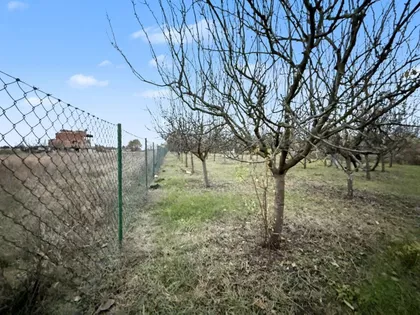 Misa Vinogradi | 4zida.rs