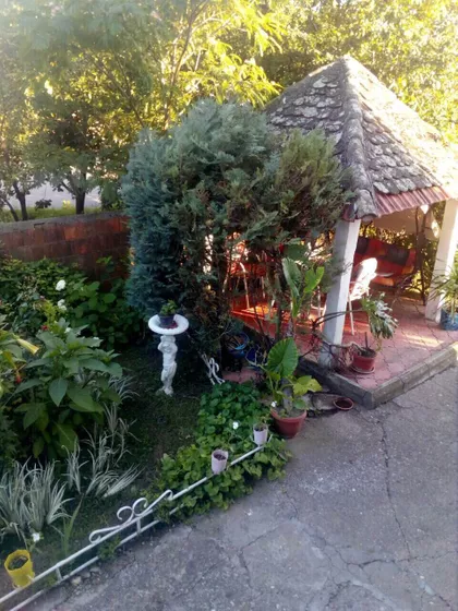 Cara Lazara | 4zida.rs