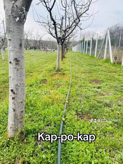 Okolne lokacije | 4zida.rs
