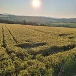 Poljoprivredno zemljište | 4zida