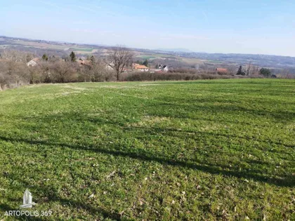 Veliki Borak | 4zida.rs