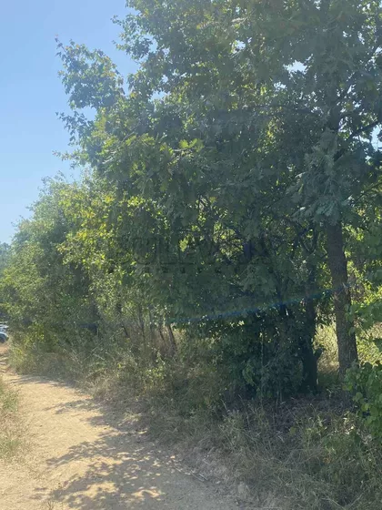 Užičke republike | 4zida.rs