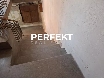 Žarka Zrenjanina | 4zida.rs