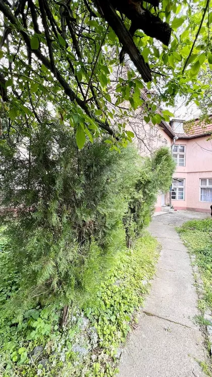 Vase Pelagića | 4zida.rs