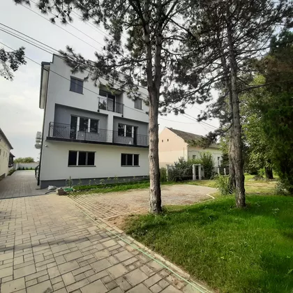 Vere Miščević 21 | 4zida.rs
