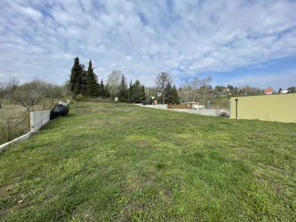 Sremska Kamenica | 4zida.rs