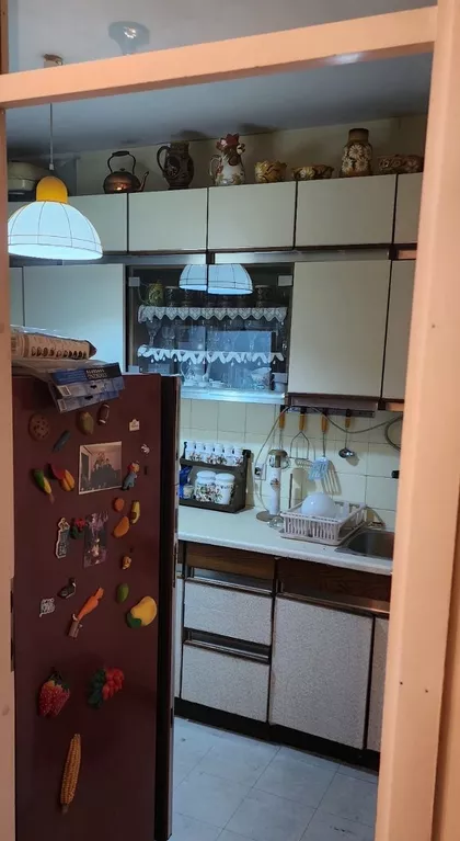 Skendera Kulenovića | 4zida.rs